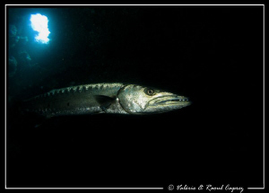 Meeting in a room of the U.S. Liberty wreck (Bali) by Raoul Caprez 